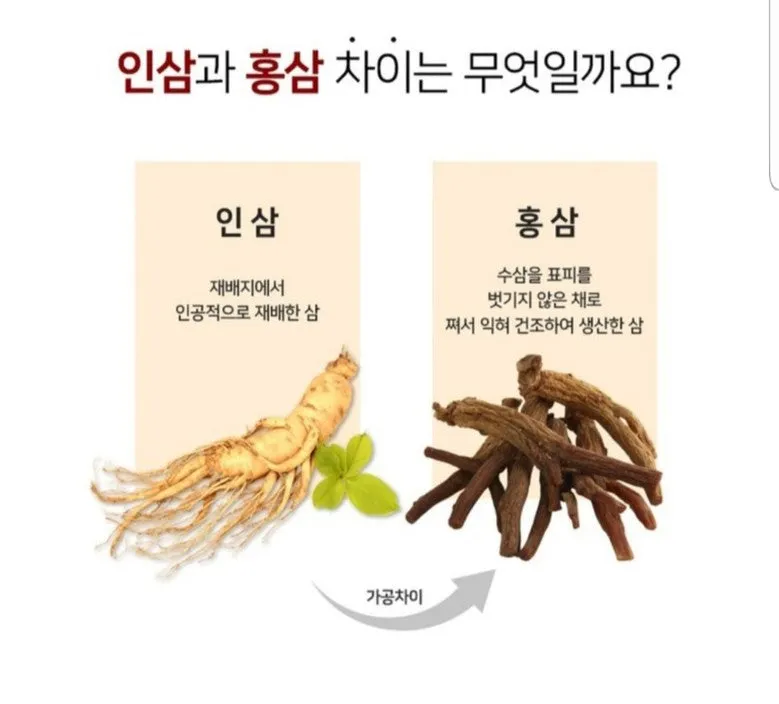 6 Year Korean Red Ginseng Roots 10 Pcs 300g Special Heaven Grade Panax