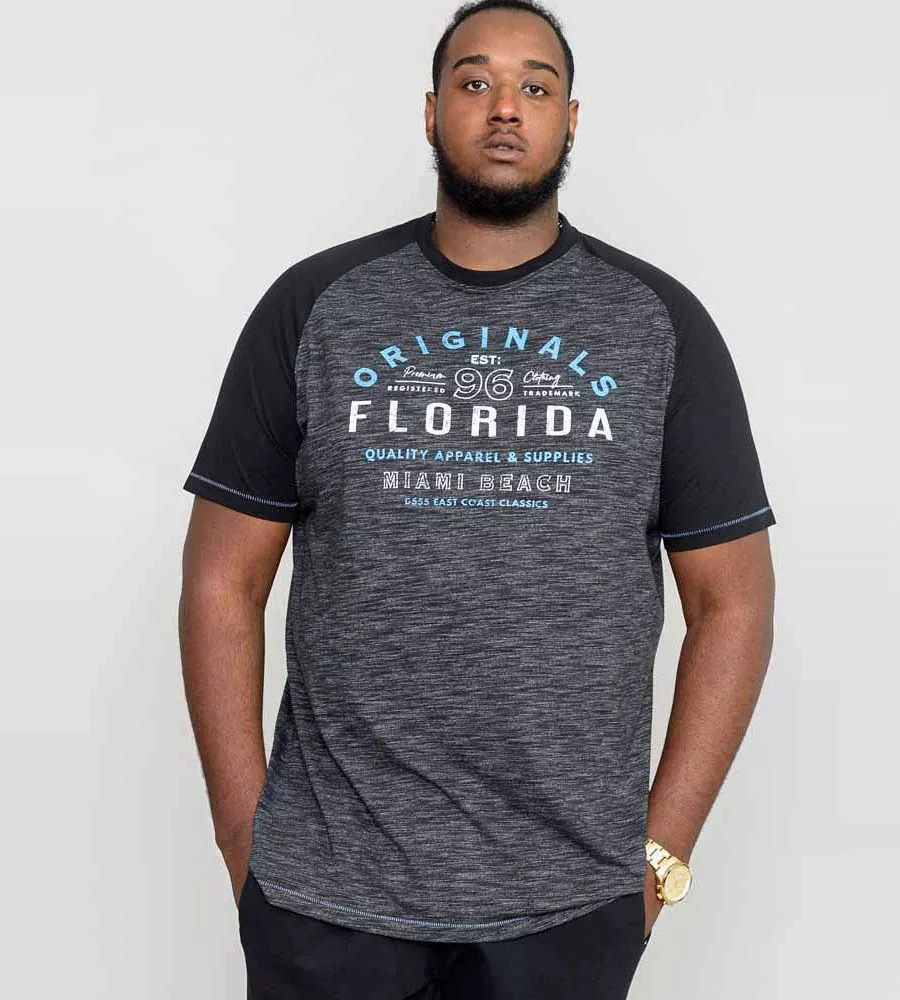 D555 Big Mens Florida Originals Printed T-Shirt With Raglan Sleeves (WHITFIELD)