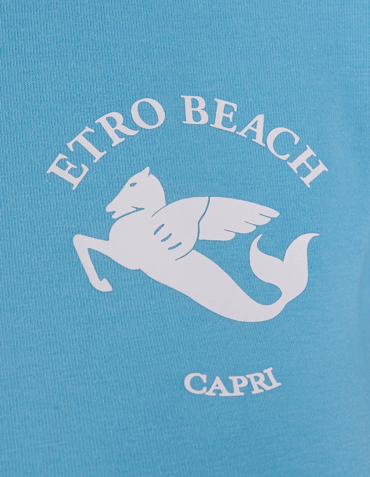 Etro Logo Printed Crewneck T-Shirt