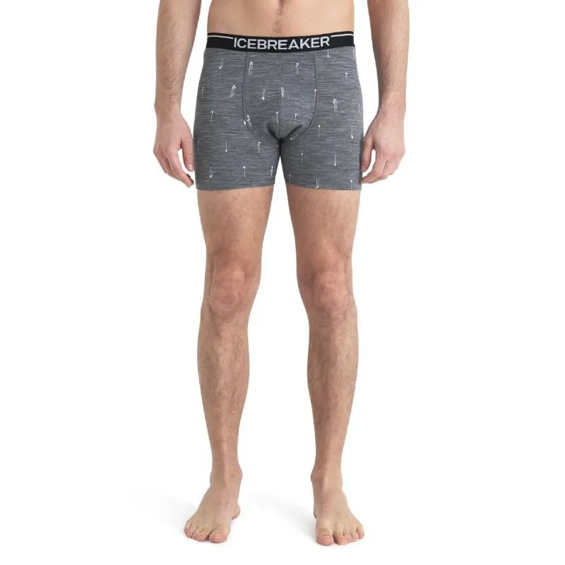 icebreaker  Merino Anatomica Boxers Palm Trail AOP - Mutanda in lana merino