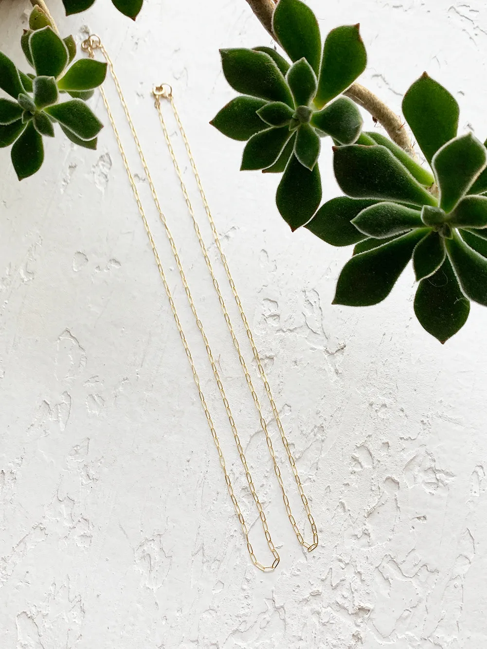 Ivy | Oval Cable Chain Gold Filled Necklace