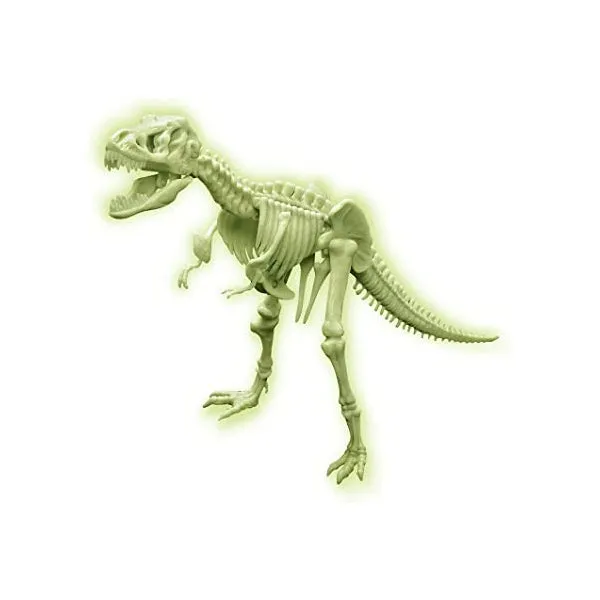 Sci:Bits Glow T. rex Skeleton Kit